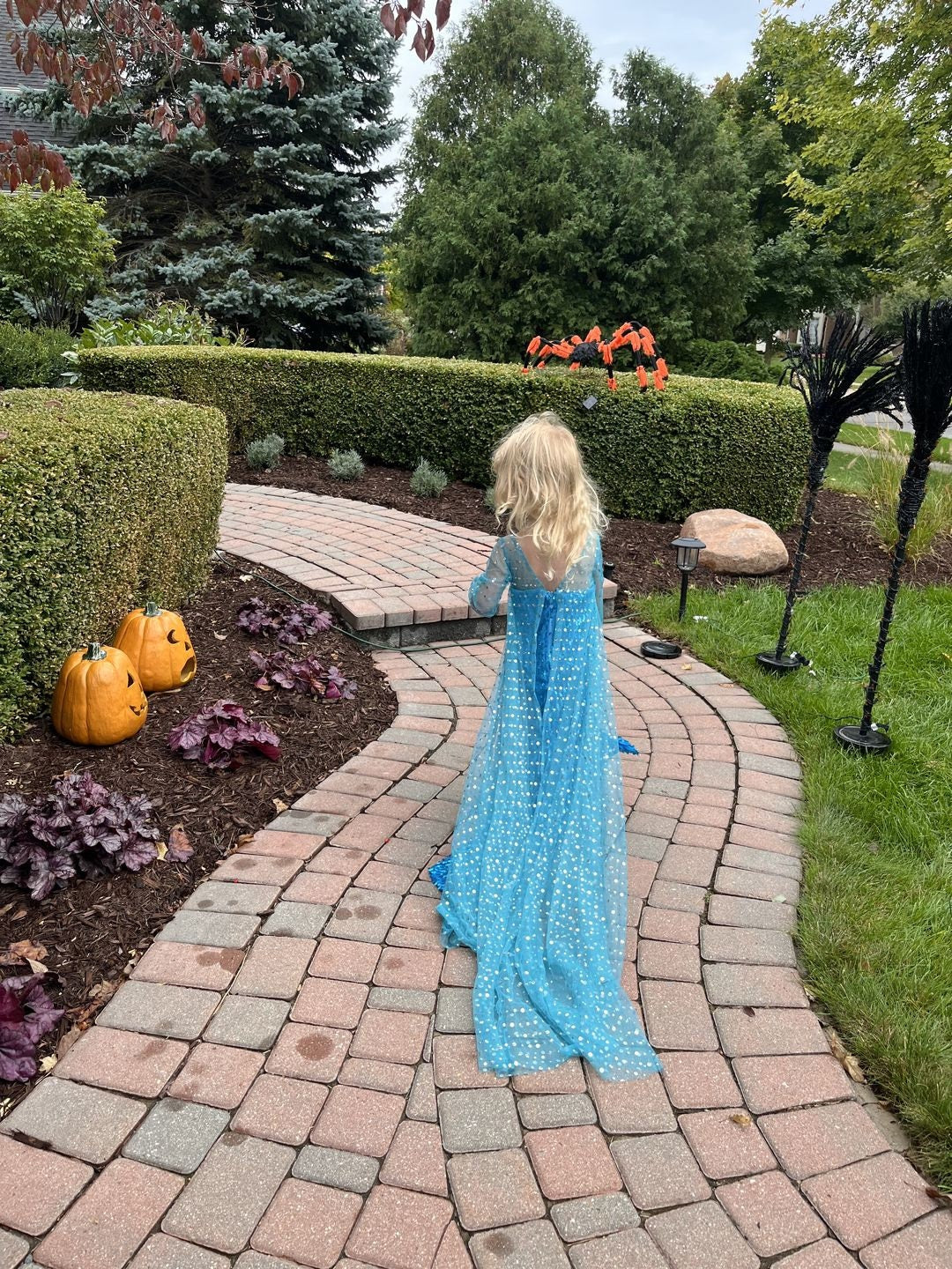 Elsa Snow Queen Costume