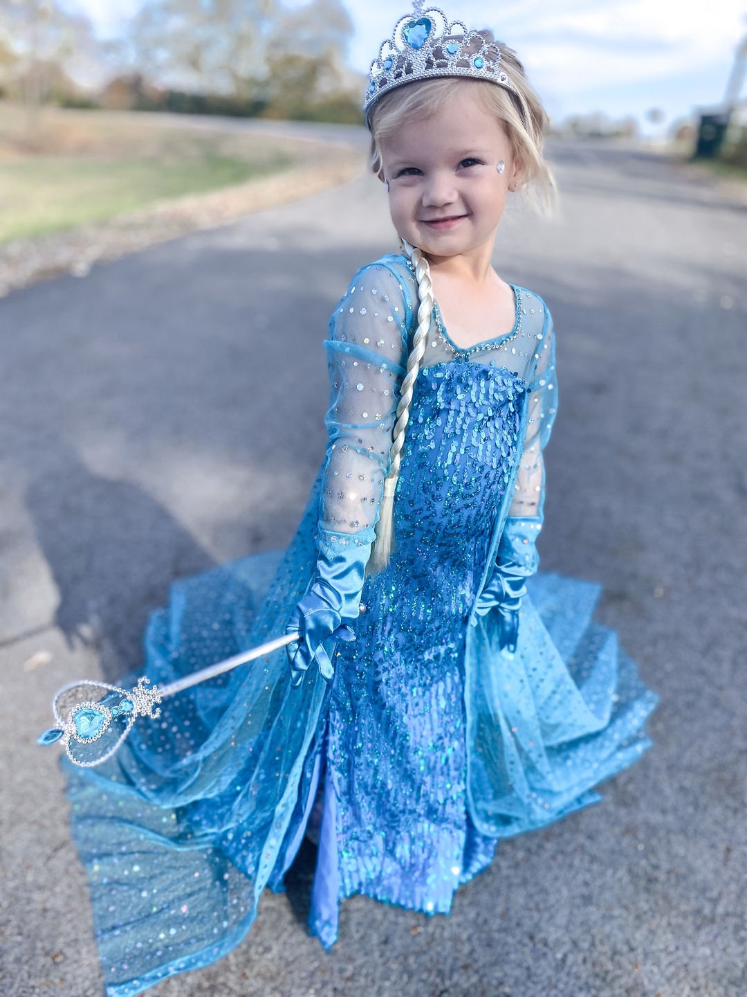 Elsa Snow Queen Costume