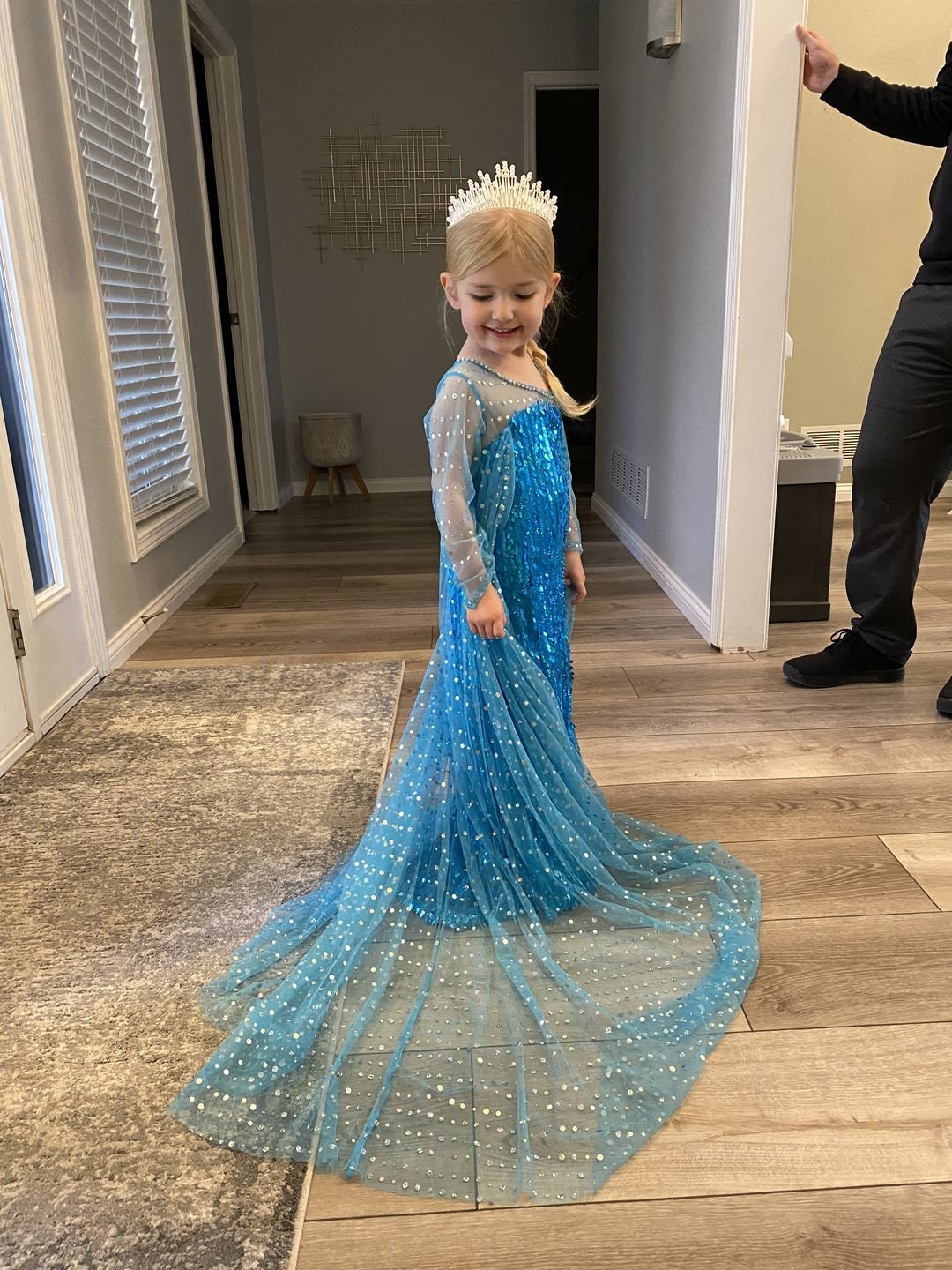 Elsa Snow Queen Costume